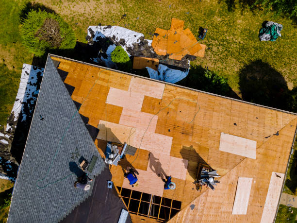 Best Storm Damage Roof Repair  in Landen, OH
